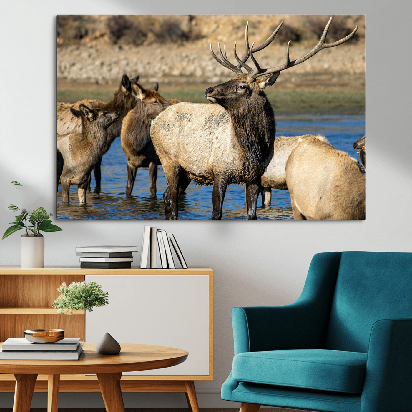 Wild Elk Wall Art Canvas Print – Framed Neutral Wildlife