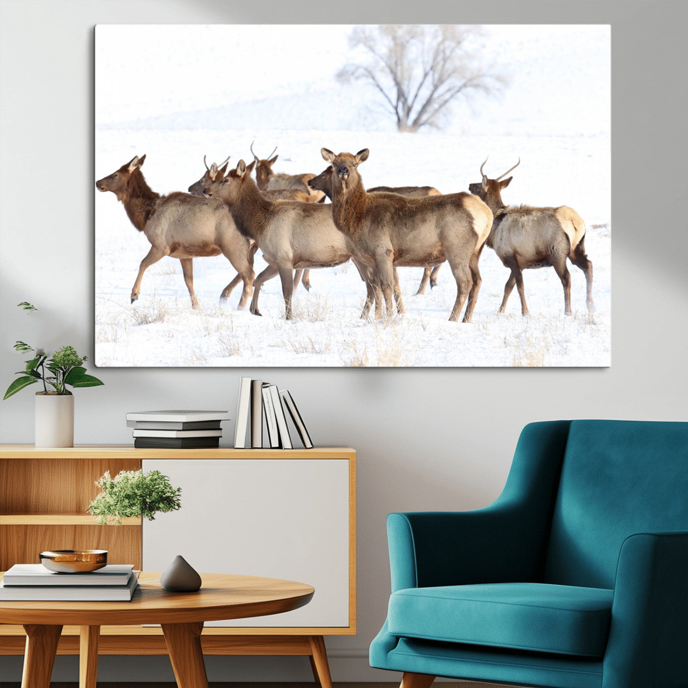 Snowy Elk Herd Wall Art Canvas Print – Majestic Winter