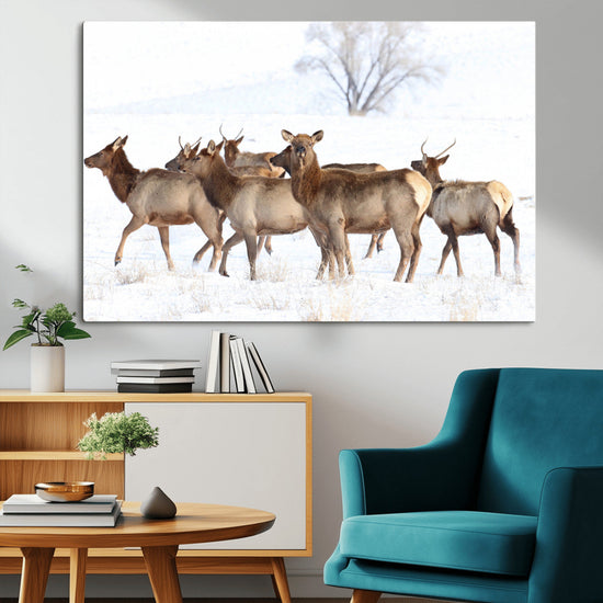 Snowy Elk Herd Wall Art Canvas Print – Majestic Winter