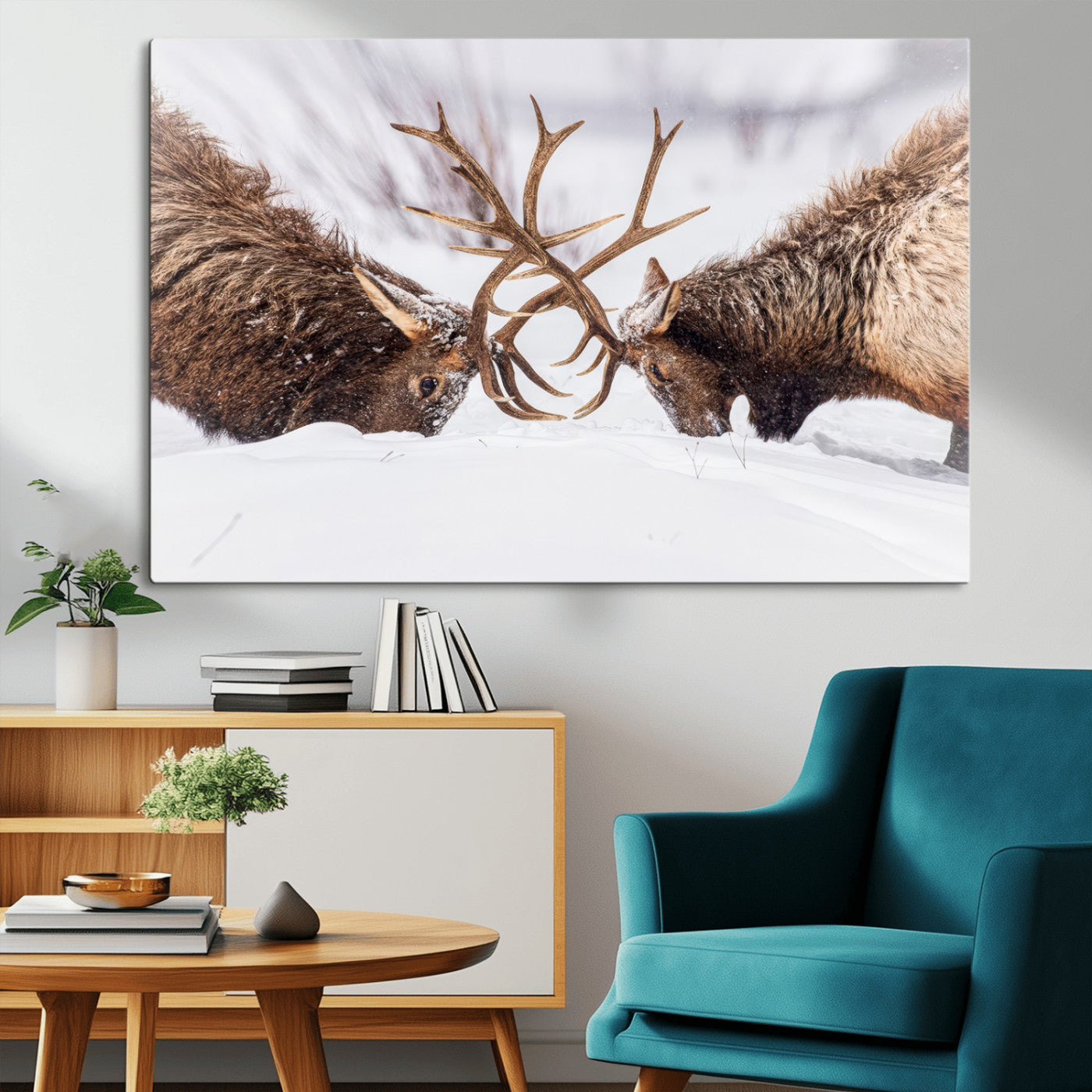 Dramatic Elk Antler Battle Wall Art Canvas Print – elk