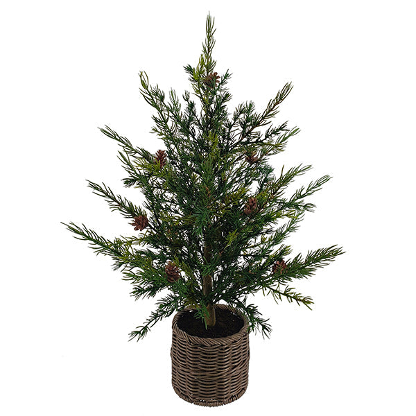 2' Pine Tree