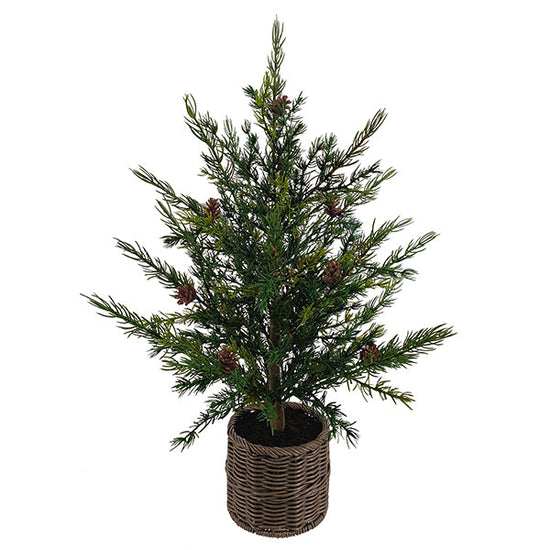 2' Pine Tree