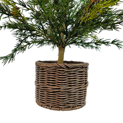 2' Pine Tree