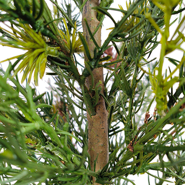 2' Pine Tree
