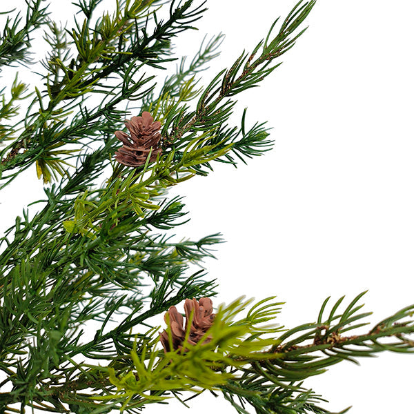 2' Pine Tree