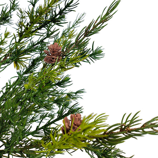 2' Pine Tree