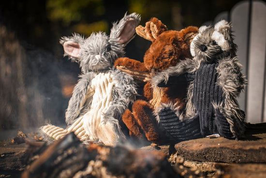 Redwood Raccoon X-Brace™ Plush Dog Toy