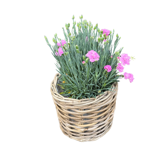 Rattan Planter Baskets