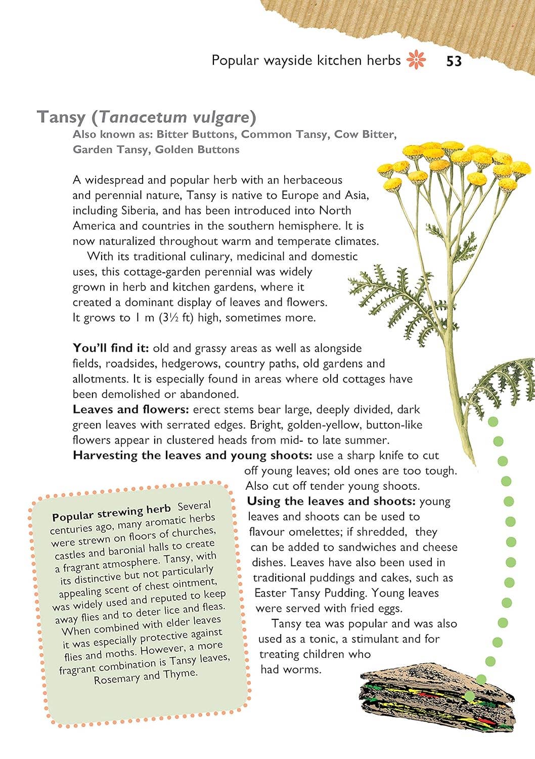 Self-Sufficiency - Foraging for Wild Food