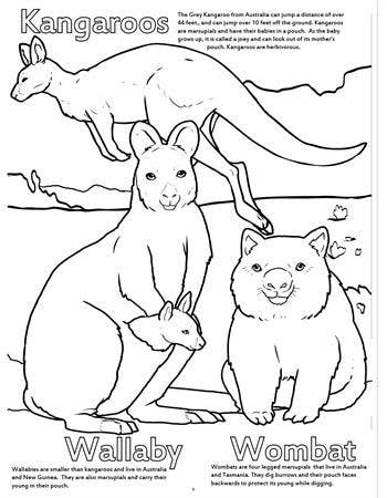 Zoo Animals Really Big Coloring Books 12"x18"
