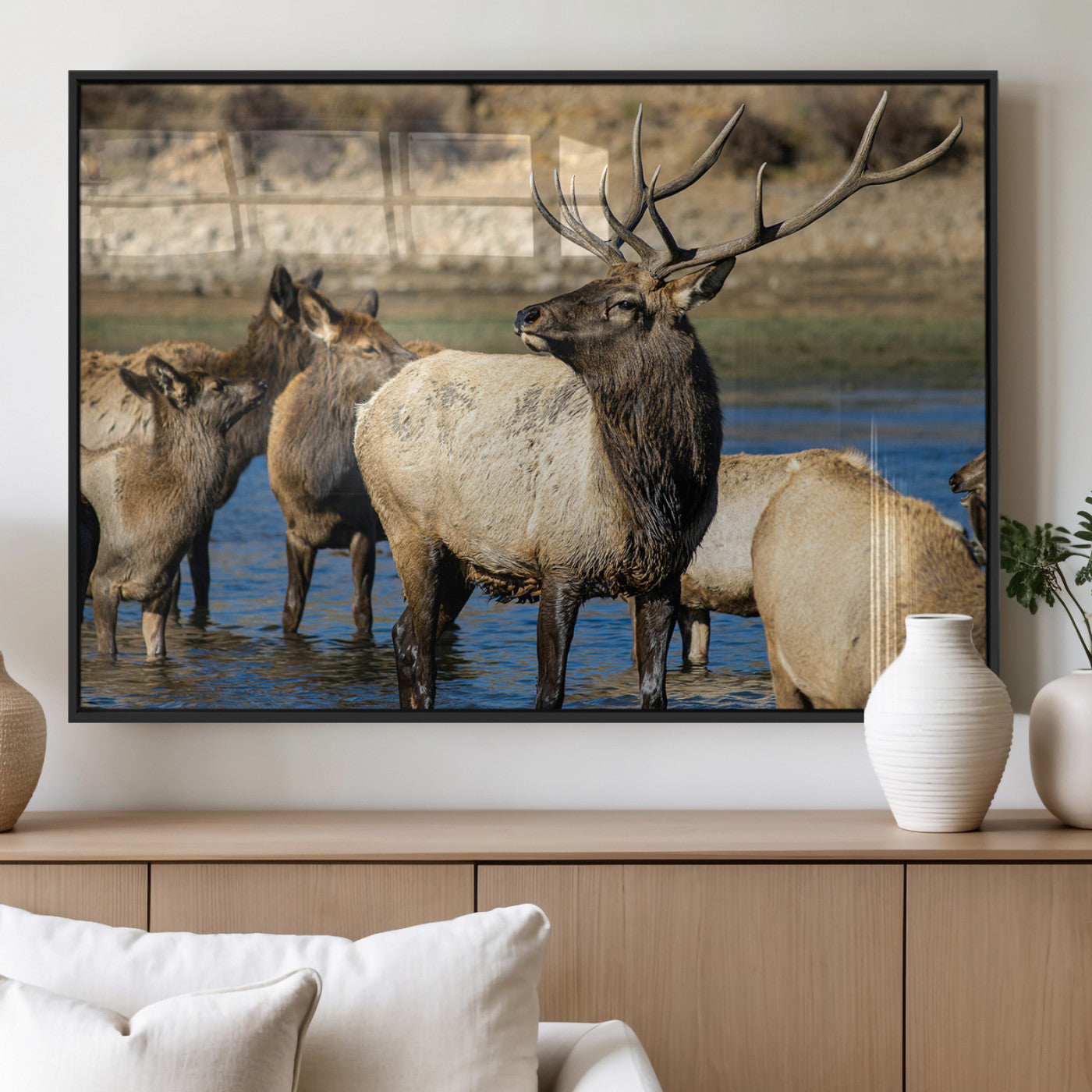 Wild Elk Wall Art Canvas Print – Framed Neutral Wildlife