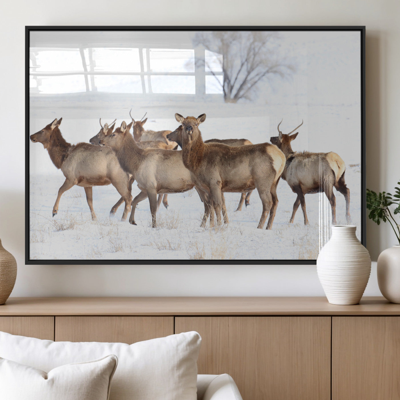 Snowy Elk Herd Wall Art Canvas Print – Majestic Winter