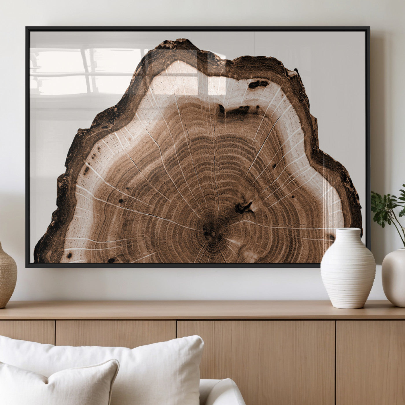 Rustic Wood Rings Wall Art | Nature-Inspired Tree Ring