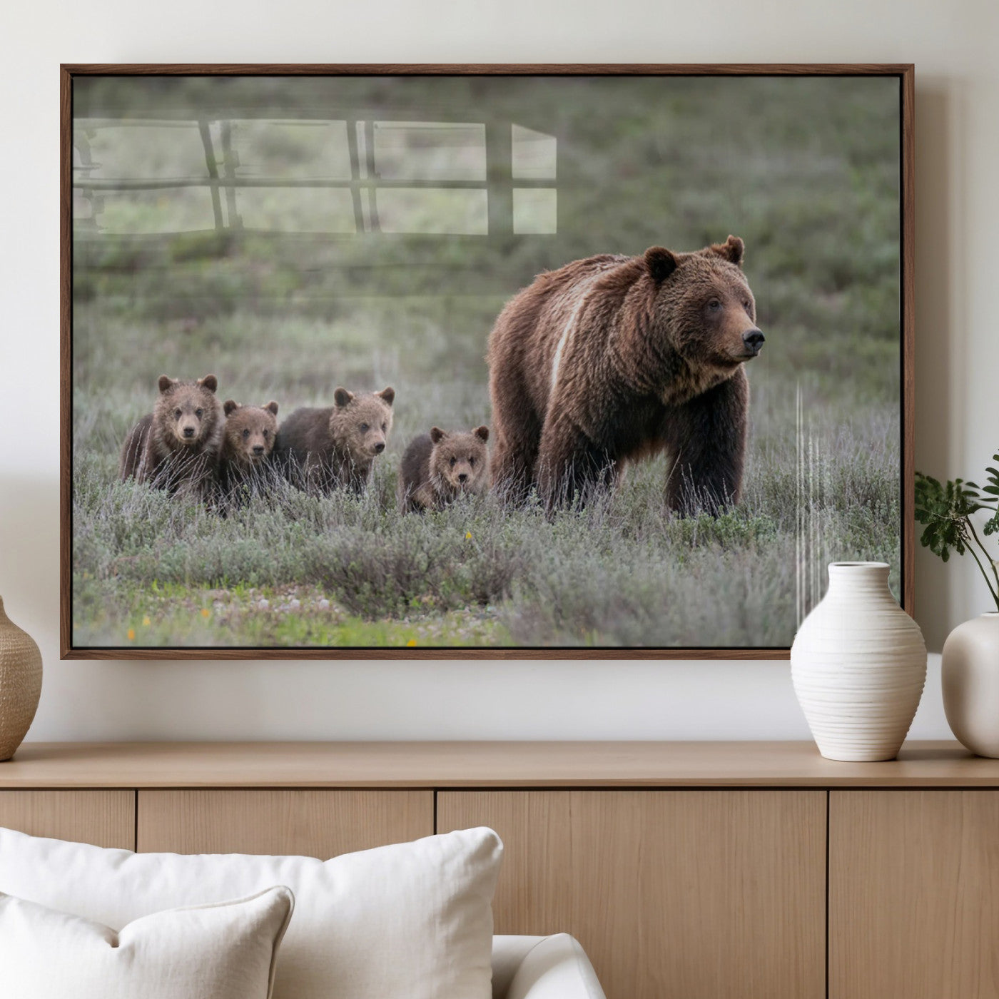 Wildlife Photography of 399 Grizzly Bear Cubs | Queen of the