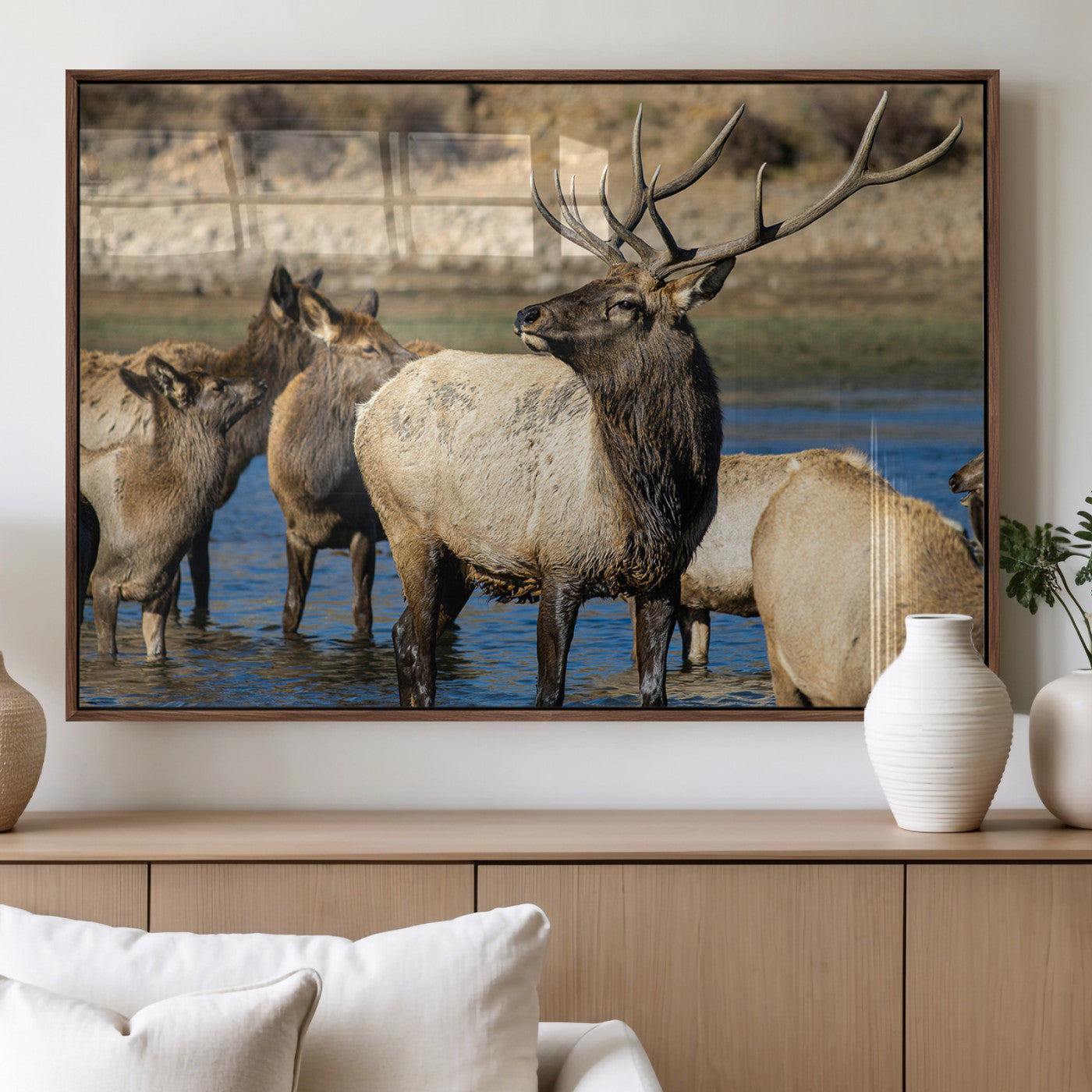 Wild Elk Wall Art Canvas Print – Framed Neutral Wildlife