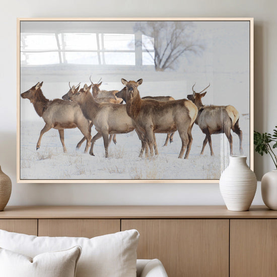 Snowy Elk Herd Wall Art Canvas Print – Majestic Winter