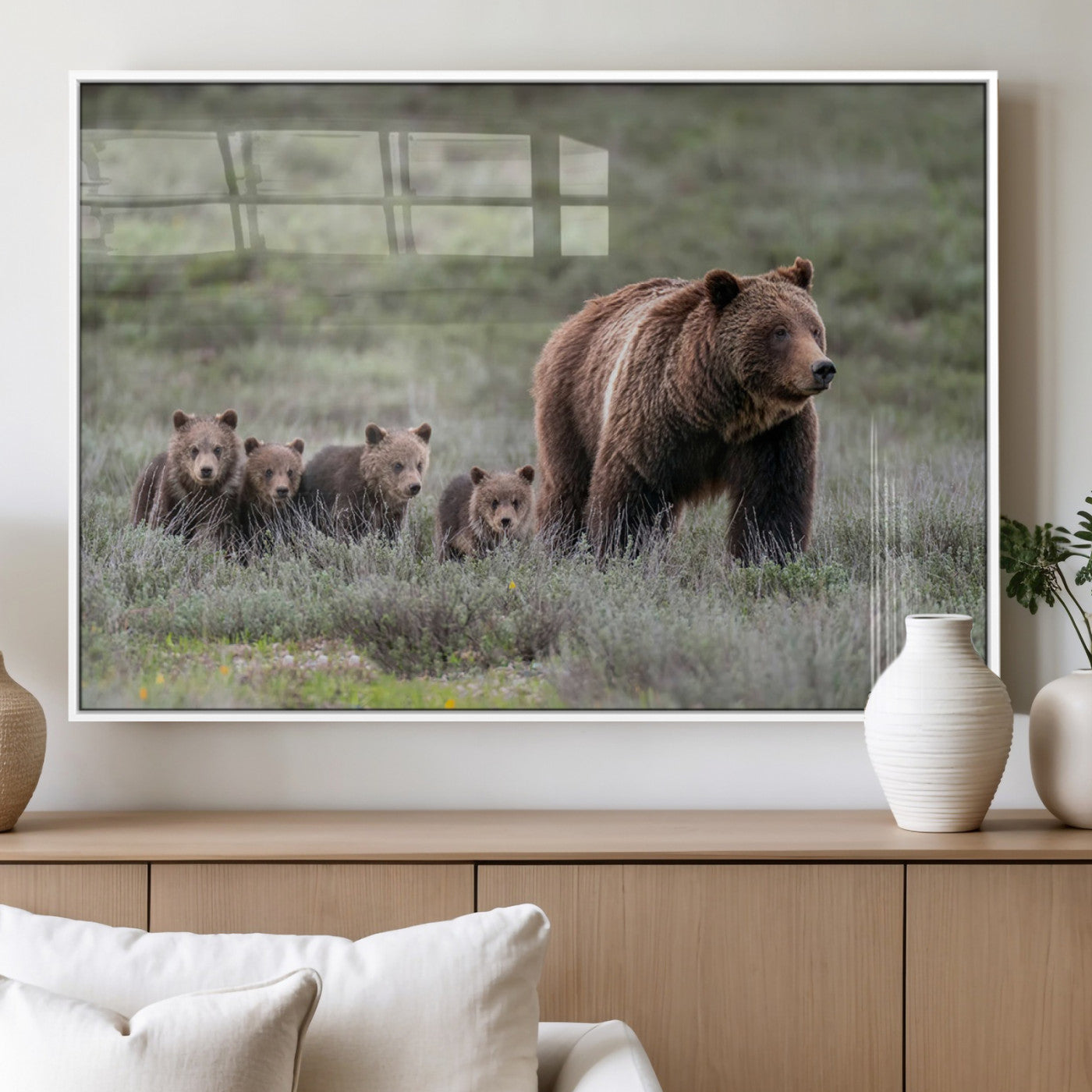 Wildlife Photography of 399 Grizzly Bear Cubs | Queen of the
