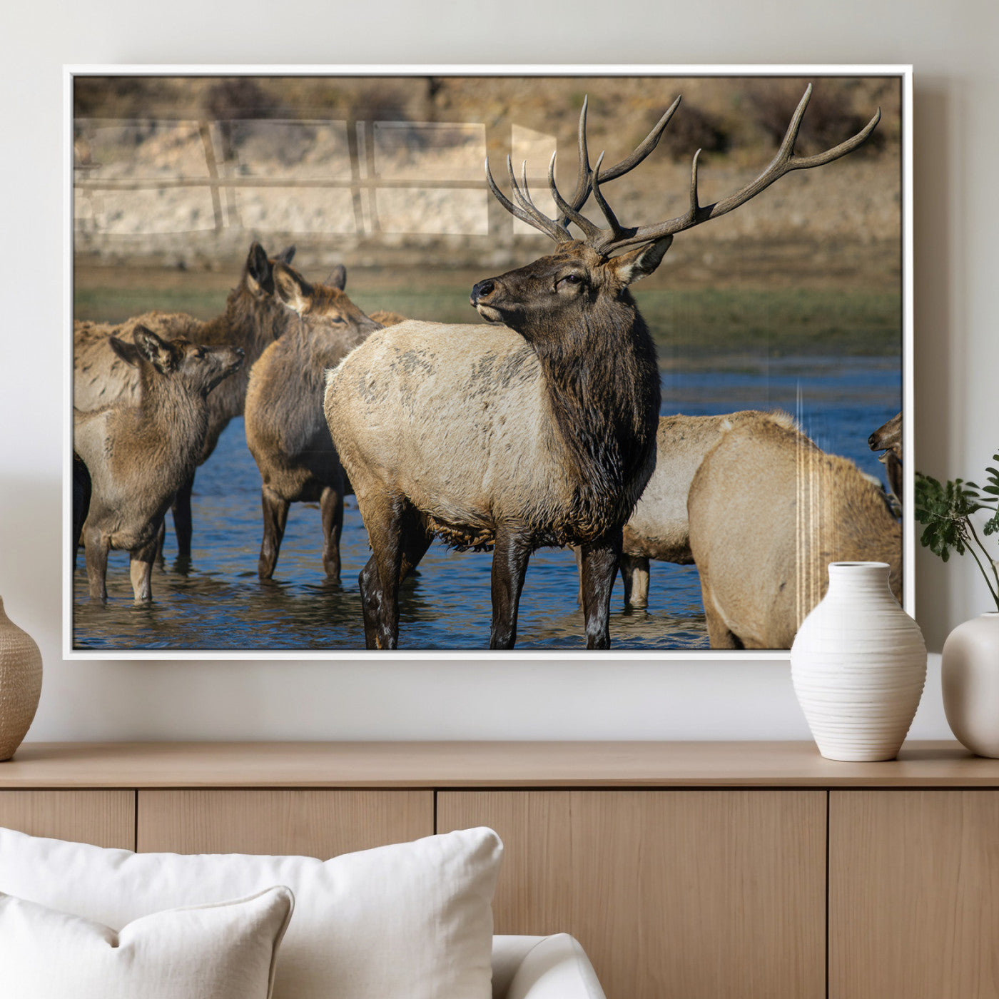 Wild Elk Wall Art Canvas Print – Framed Neutral Wildlife