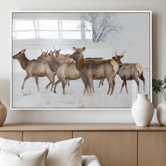Snowy Elk Herd Wall Art Canvas Print – Majestic Winter