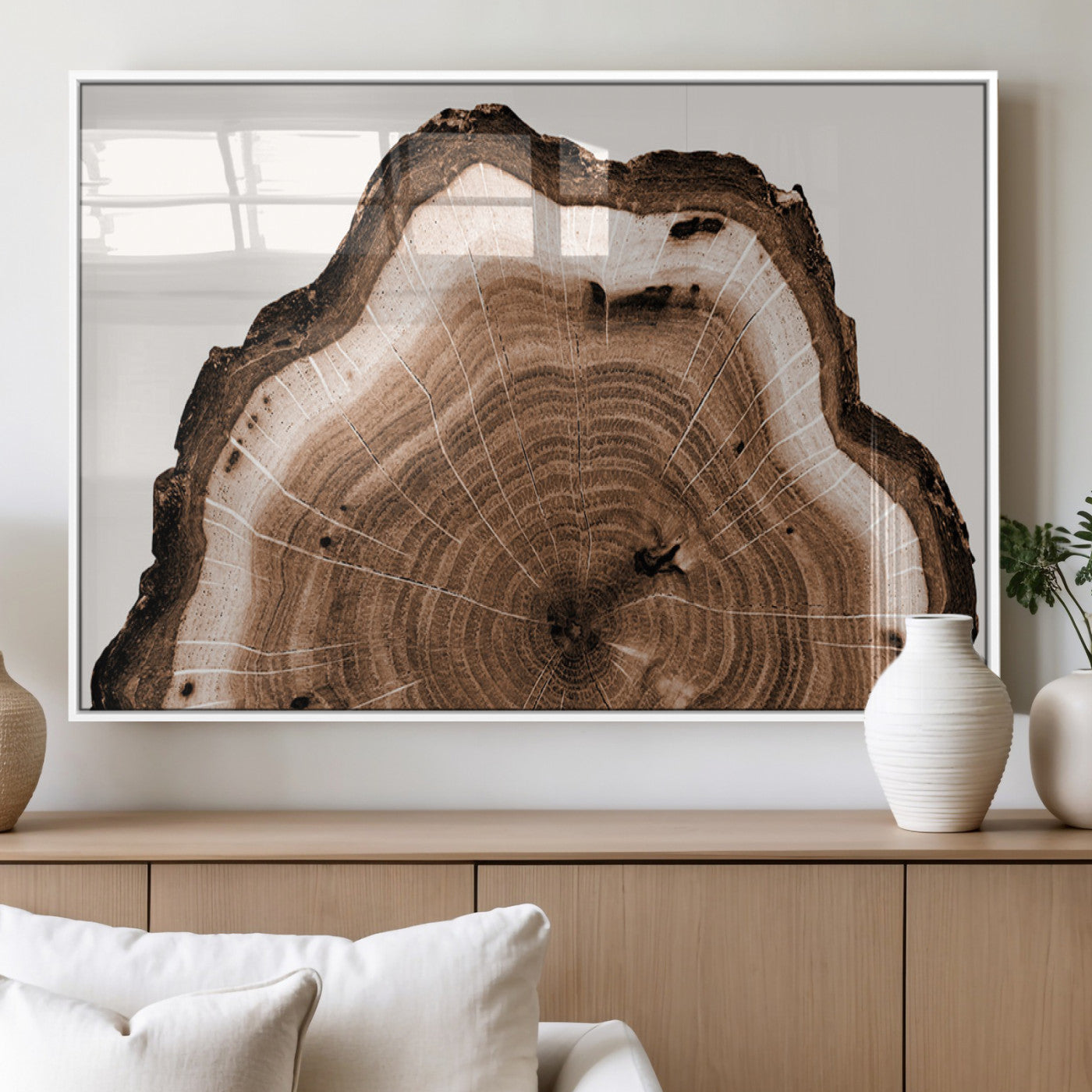 Rustic Wood Rings Wall Art | Nature-Inspired Tree Ring
