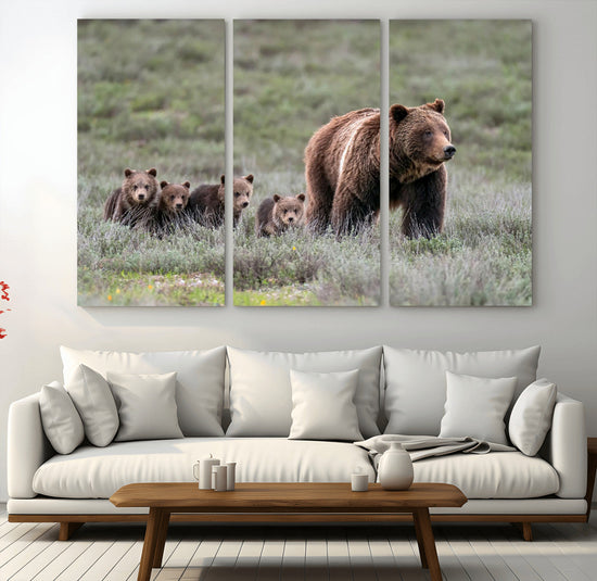 Wildlife Photography of 399 Grizzly Bear Cubs | Queen of the