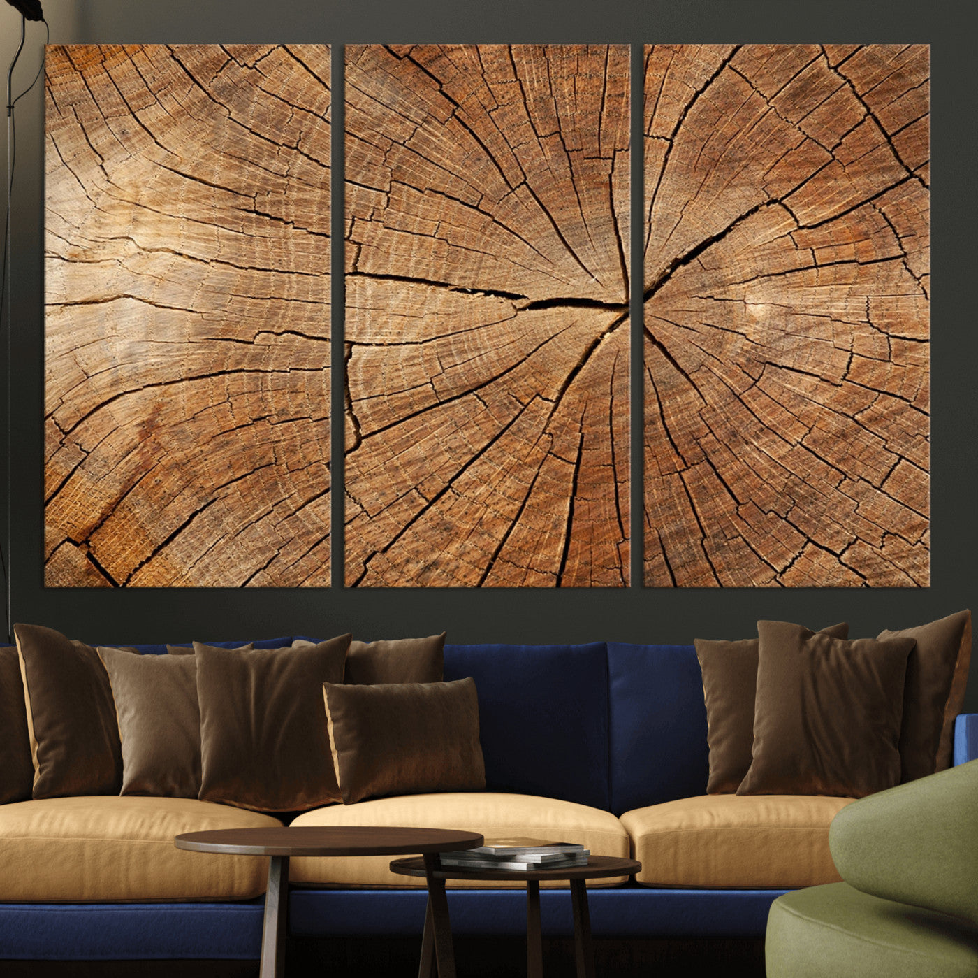 Tree Ring Canvas Art, Rustic Wood Grain Wall Art, Tree Slice