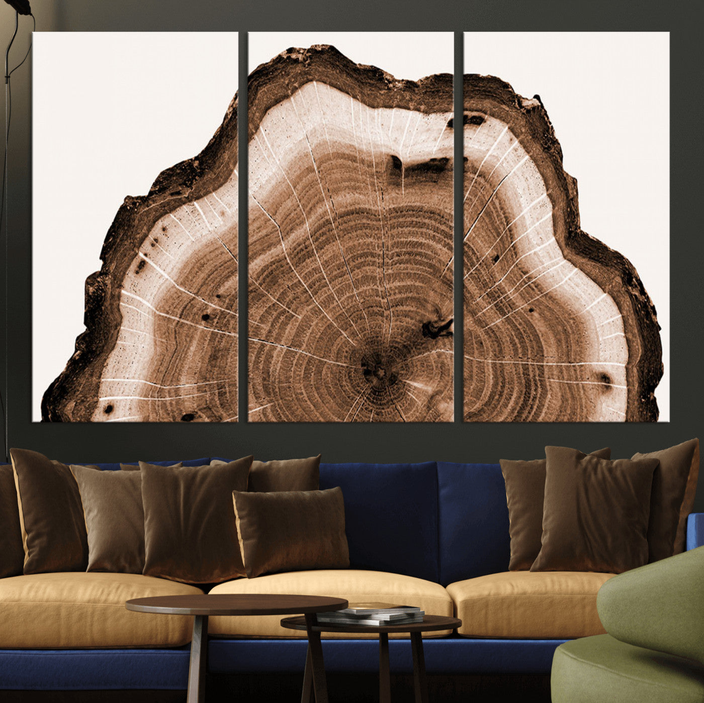 Rustic Wood Rings Wall Art | Nature-Inspired Tree Ring