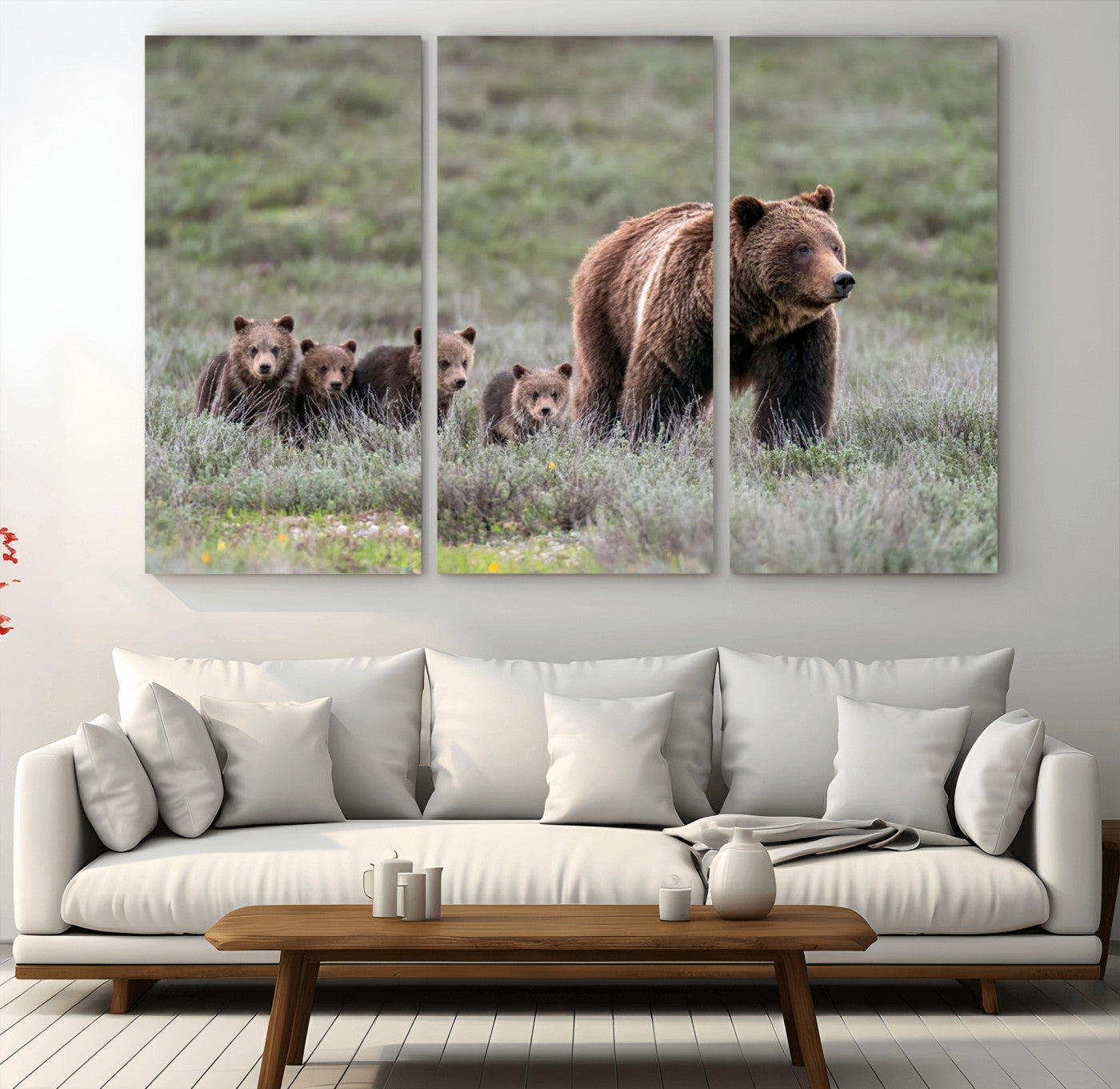 Wildlife Photography of 399 Grizzly Bear Cubs | Queen of the