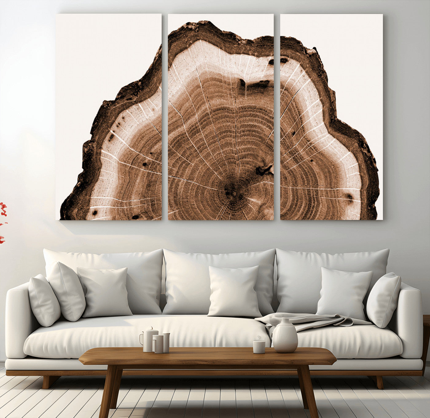 Rustic Wood Rings Wall Art | Nature-Inspired Tree Ring