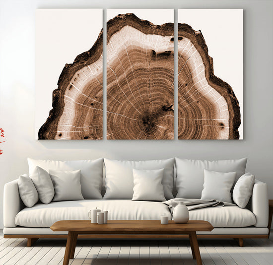 Rustic Wood Rings Wall Art | Nature-Inspired Tree Ring