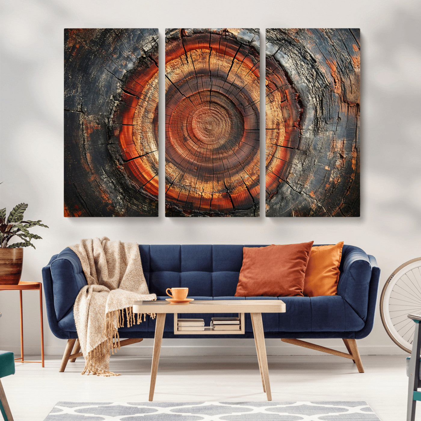 Wood Grain Canvas Wall Art - Framed Abstract Tree Ring