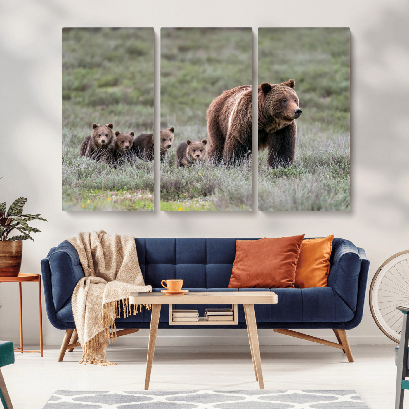 Wildlife Photography of 399 Grizzly Bear Cubs | Queen of the