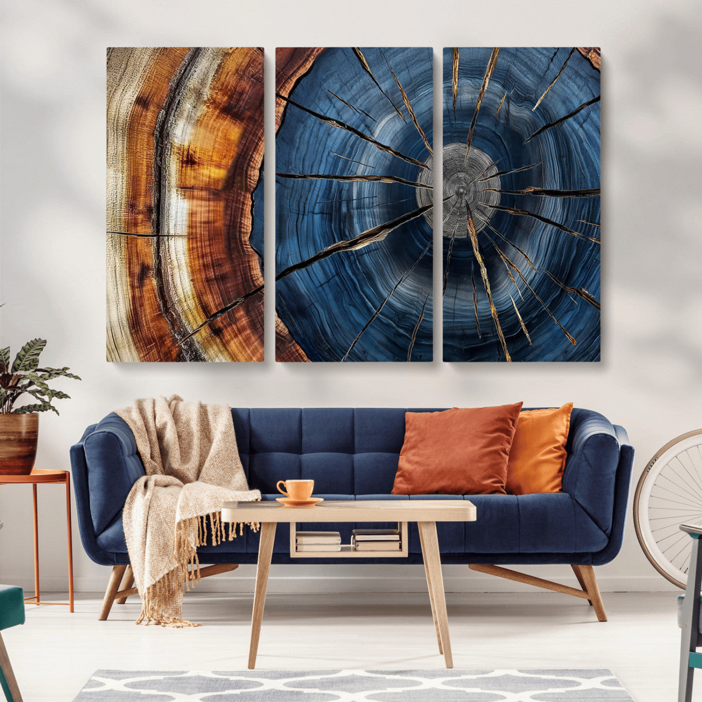Framed Abstract Tree Ring Wall Art Print Natural Rustic Wood