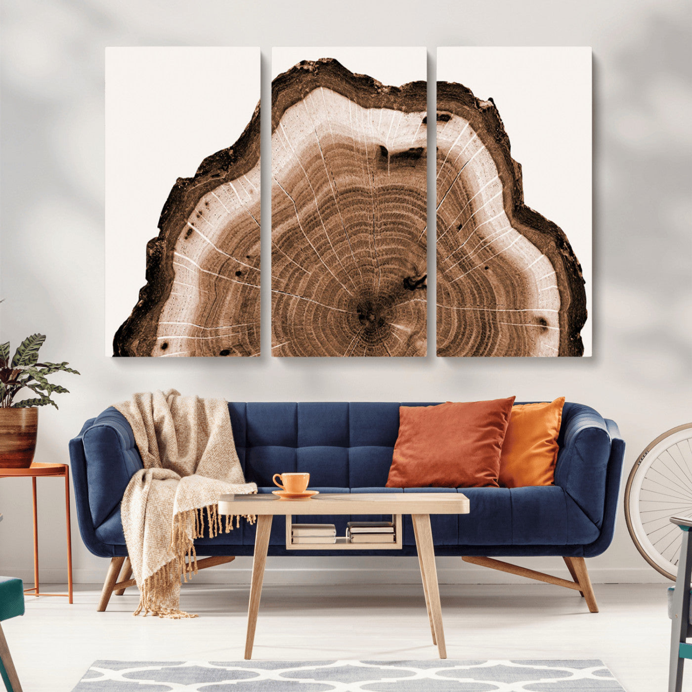 Rustic Wood Rings Wall Art | Nature-Inspired Tree Ring