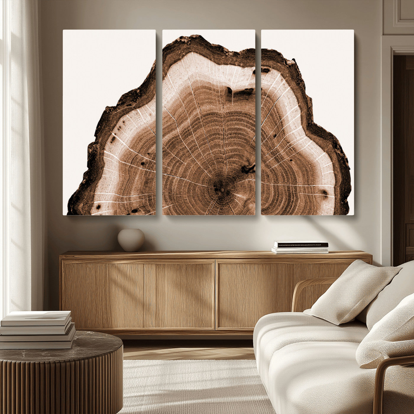 Rustic Wood Rings Wall Art | Nature-Inspired Tree Ring