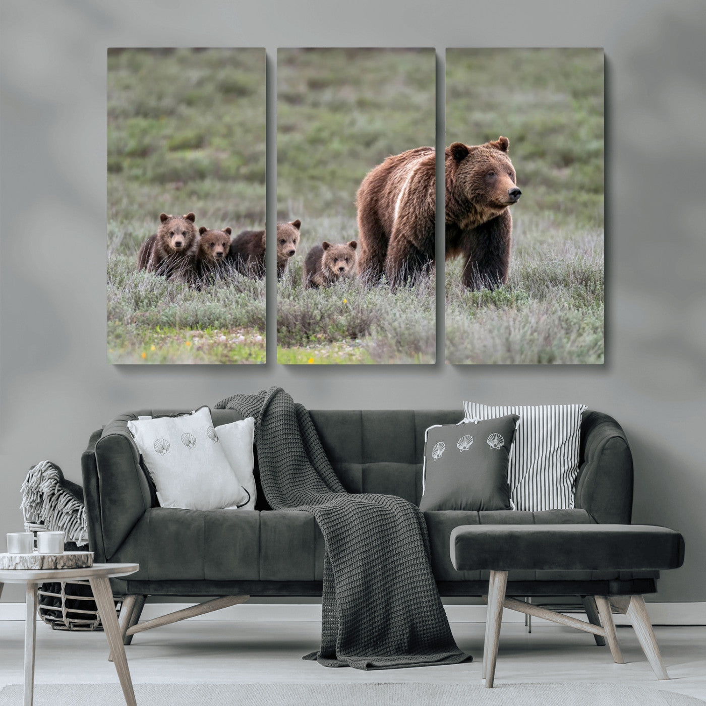 Wildlife Photography of 399 Grizzly Bear Cubs | Queen of the