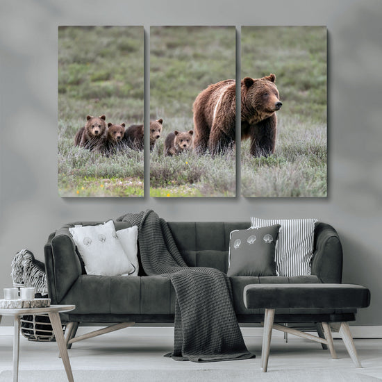 Wildlife Photography of 399 Grizzly Bear Cubs | Queen of the