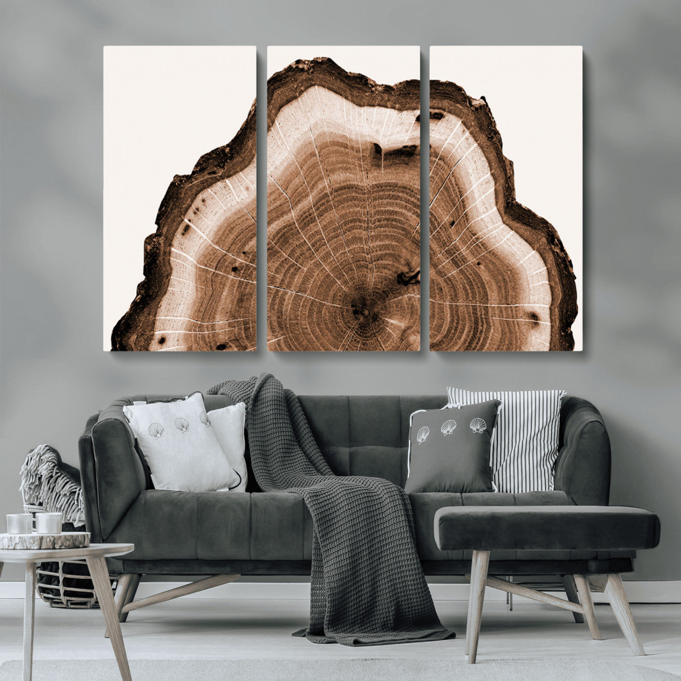 Rustic Wood Rings Wall Art | Nature-Inspired Tree Ring