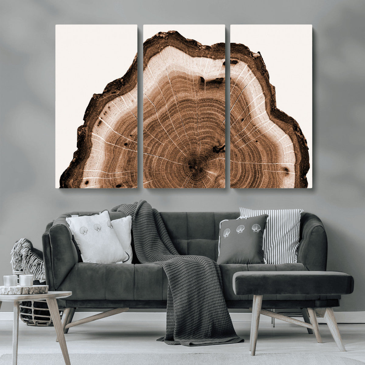 Rustic Wood Rings Wall Art | Nature-Inspired Tree Ring