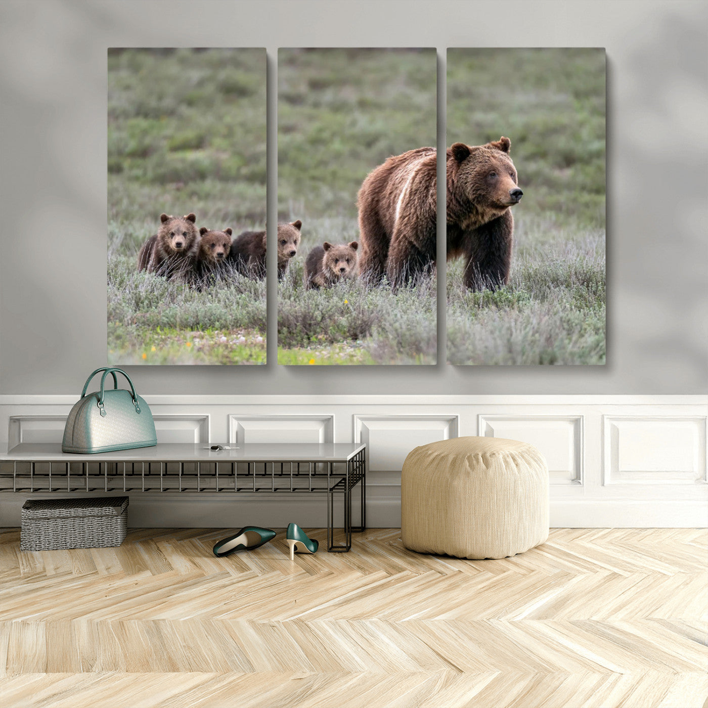 Wildlife Photography of 399 Grizzly Bear Cubs | Queen of the