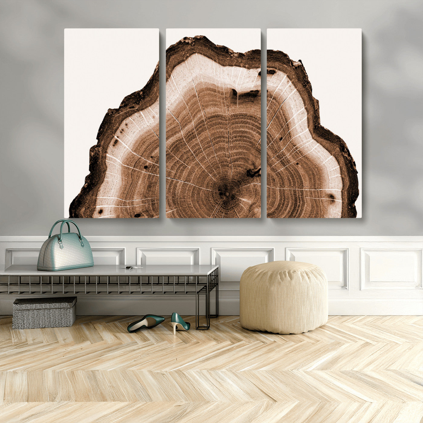 Rustic Wood Rings Wall Art | Nature-Inspired Tree Ring