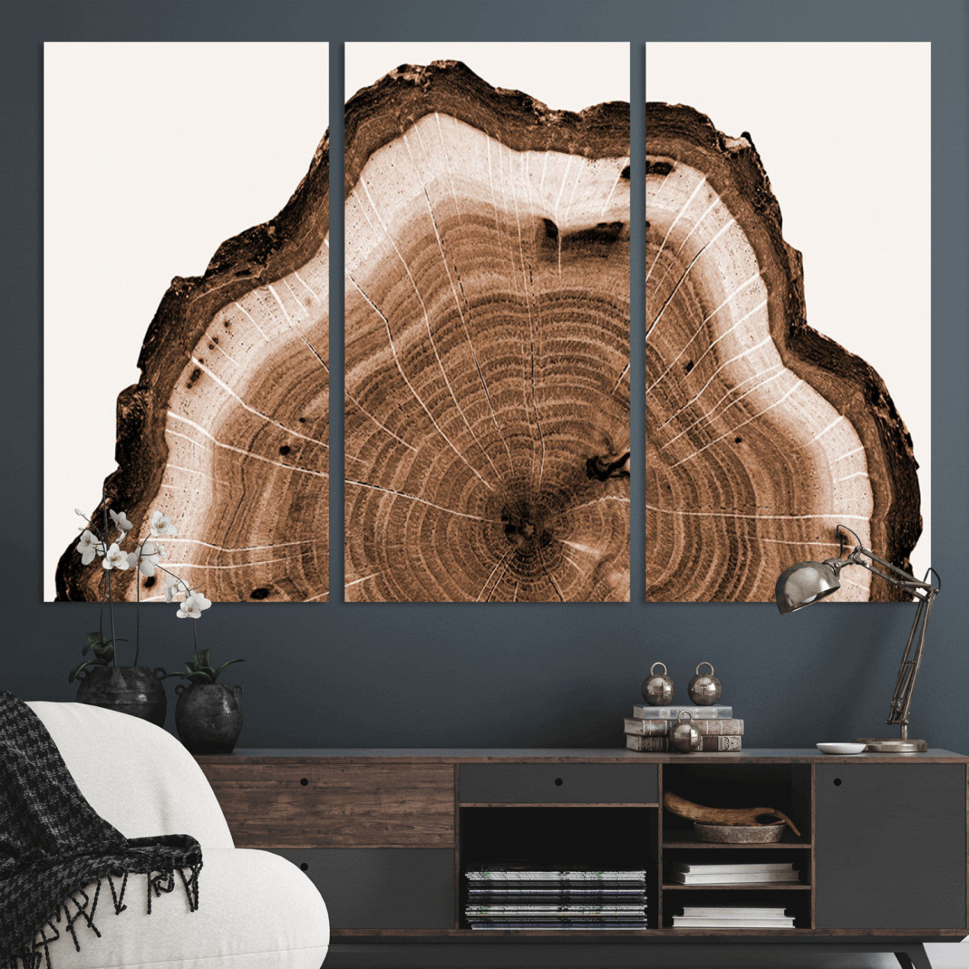 Rustic Wood Rings Wall Art | Nature-Inspired Tree Ring
