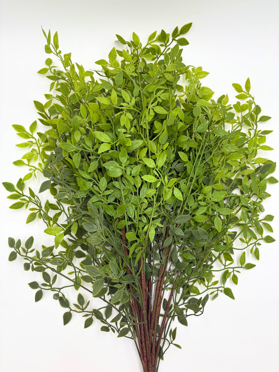 Artificial Italian Ruscus Stems - Bundle of 4