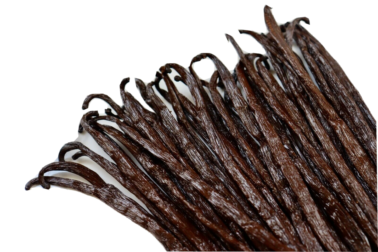 Organic Madagascar Grade 'A' Vanilla Beans - Pack of 2