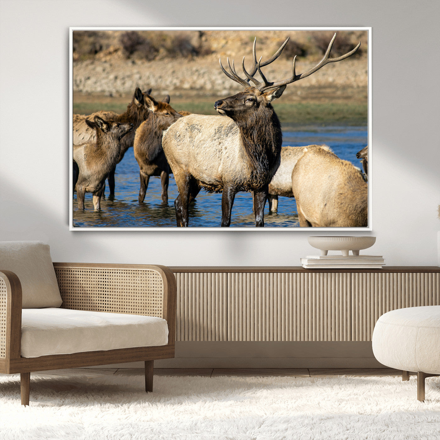 Wild Elk Wall Art Canvas Print – Framed Neutral Wildlife