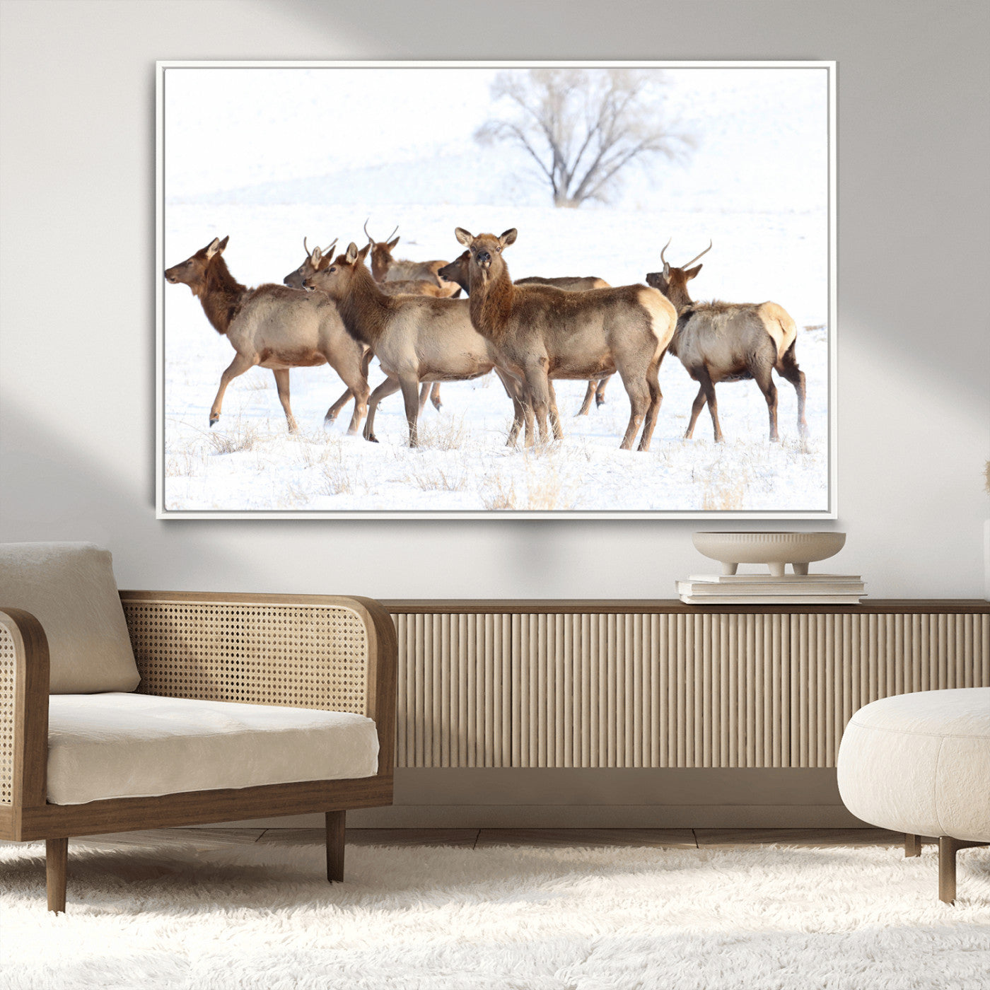 Snowy Elk Herd Wall Art Canvas Print – Majestic Winter