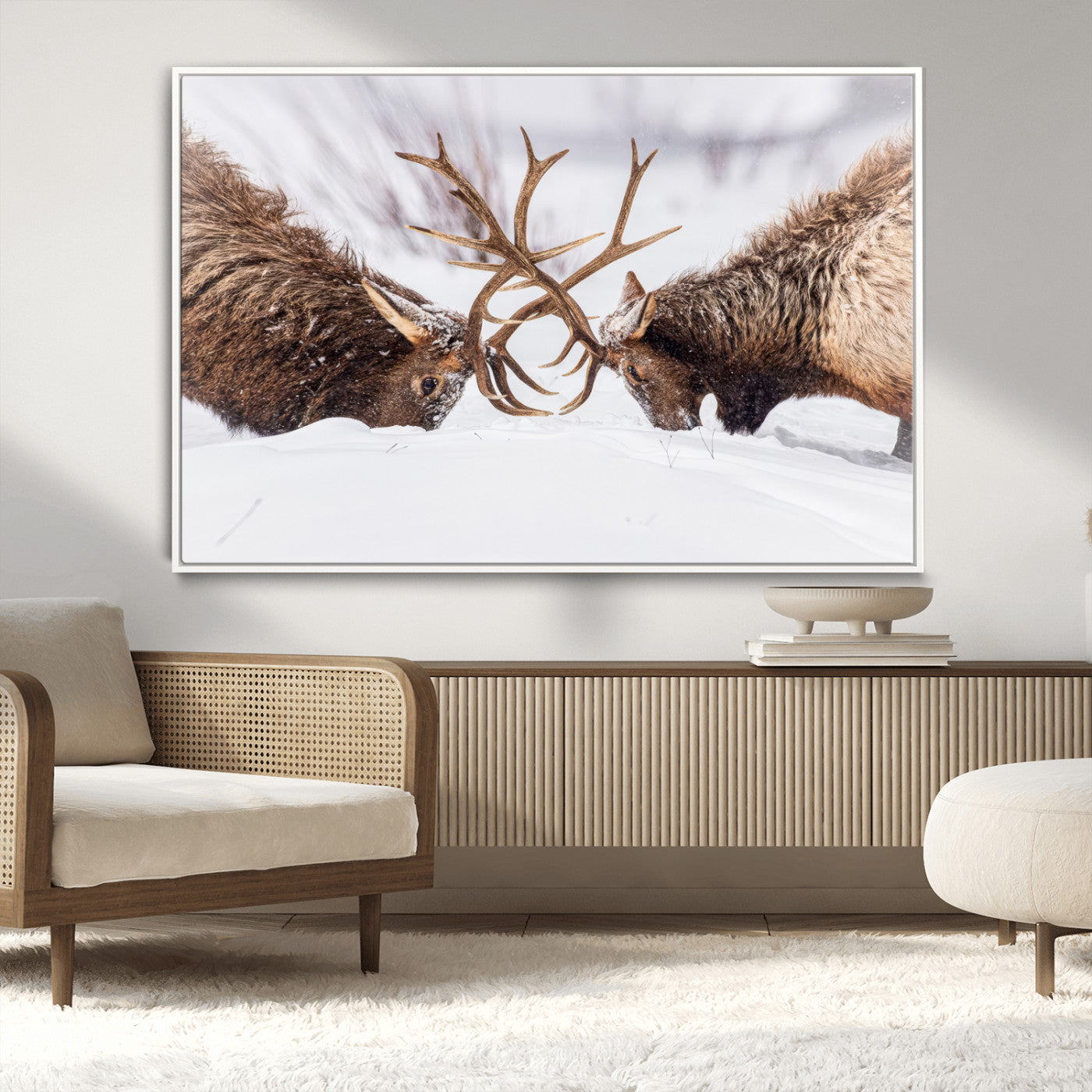 Dramatic Elk Antler Battle Wall Art Canvas Print – elk