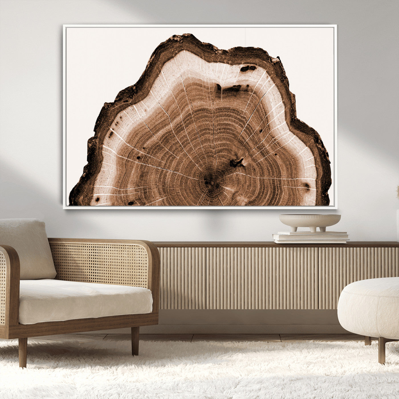 Rustic Wood Rings Wall Art | Nature-Inspired Tree Ring