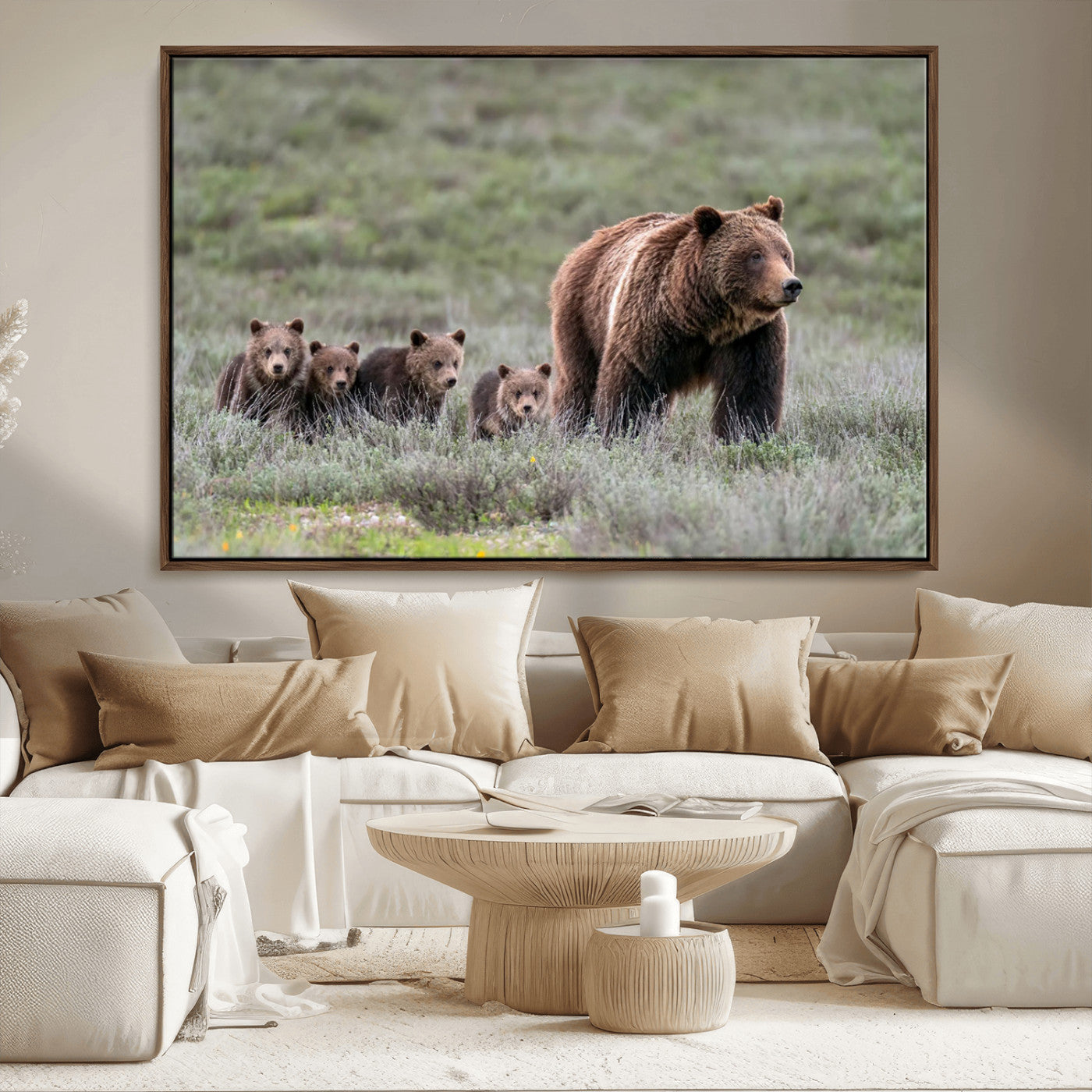 Wildlife Photography of 399 Grizzly Bear Cubs | Queen of the