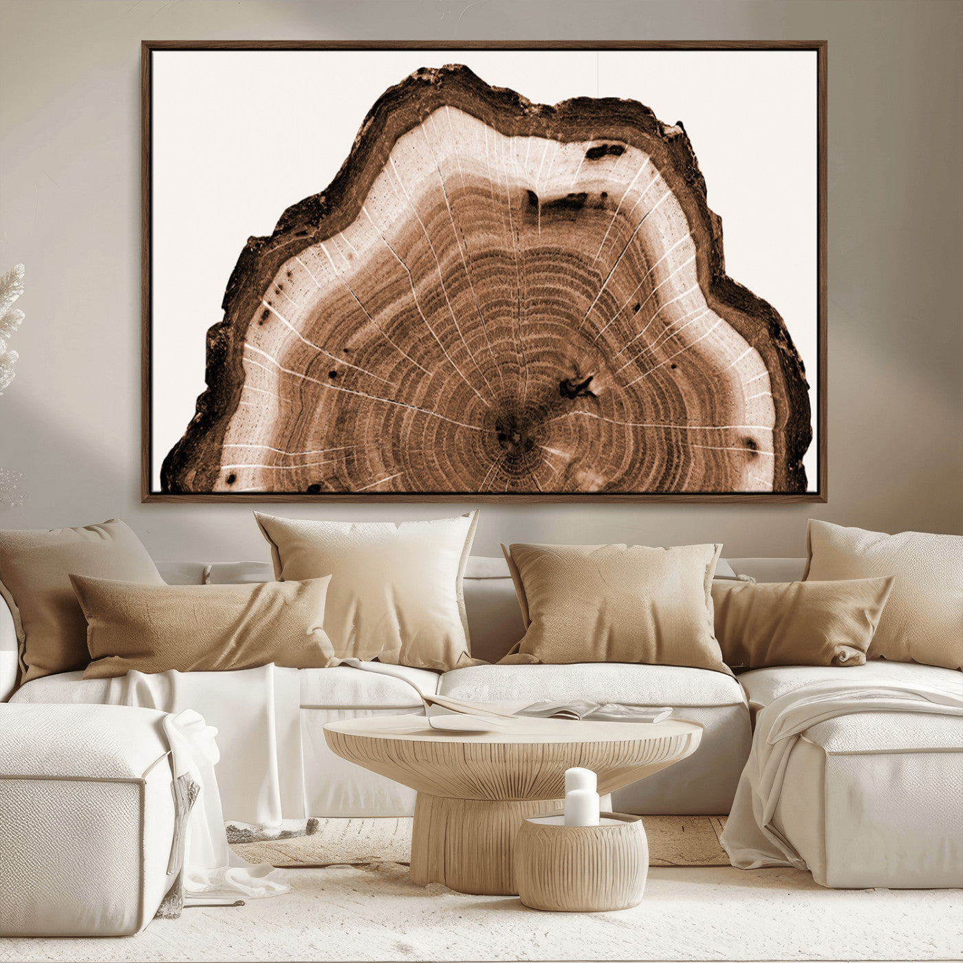 Rustic Wood Rings Wall Art | Nature-Inspired Tree Ring